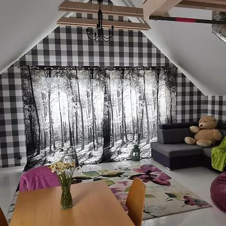 Trzcinsko Karkonosze Vila Janowice Wielkie